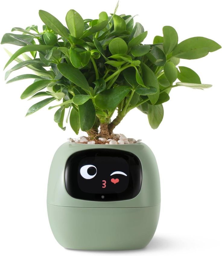 Interactive green planter robot reacting with facial expression – monitors plant needs