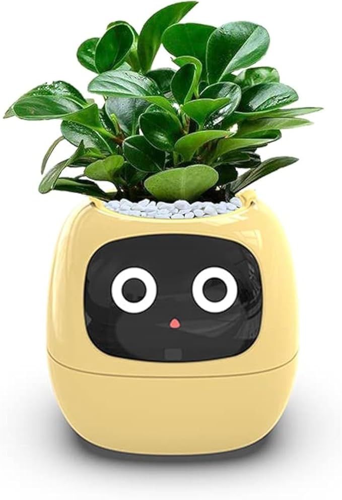 Yellow desk plant robot showing emoji face – tech gift for plant lovers and students