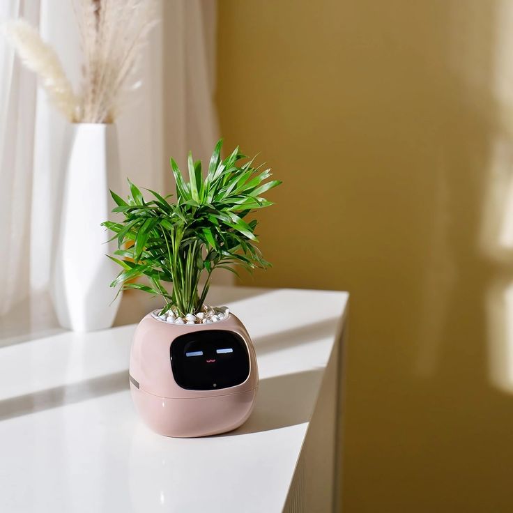 Smart planter robot placed by the window – stylish home decor and functional plant assistant