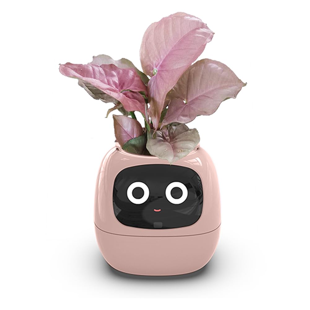 Pink smart planter robot with expressive face and decorative plant – interactive desk companion